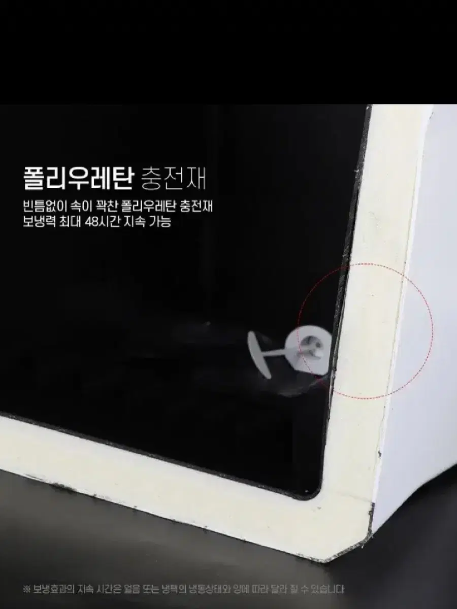thumbnail-11